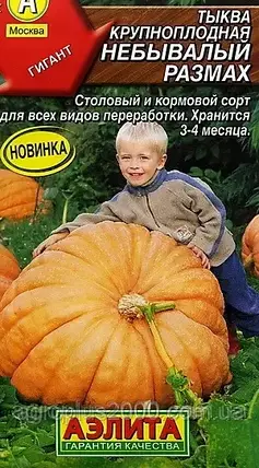 Насіння Гарбуз Великоплідне Небувала Розмах 2 грами Аеліта, фото 1
