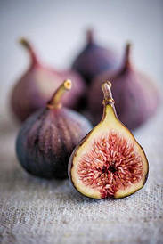 САДЖАНЦІ ІНЖИРУ