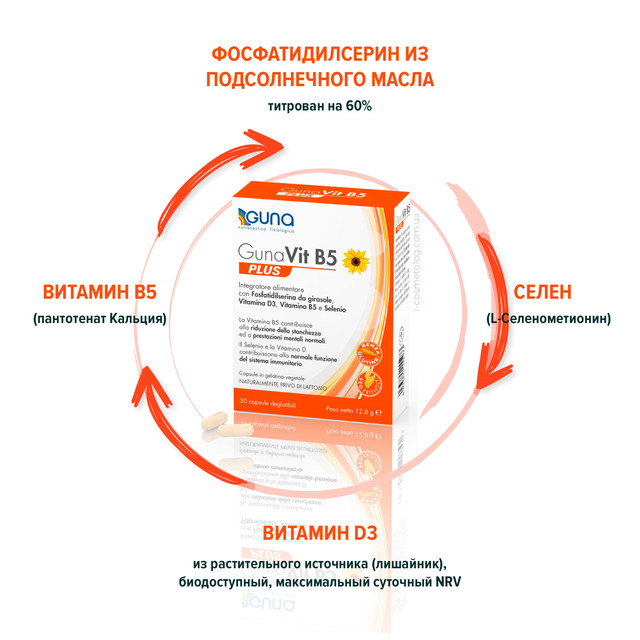 Основні активні інгредієнти GunaVit B5 (Італія) Основні активні інгредієнти GunaVit B5 (Італія)