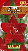 Семена Ипомея Квамоклит Красная 0,5 грамма Аэлита