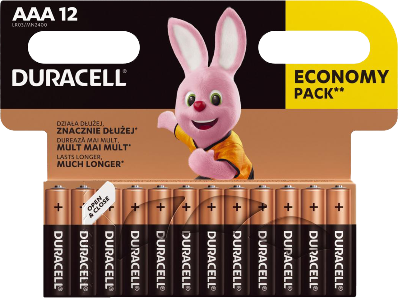 Батарейки DURACELL LR-03/AAA 12 шт.
