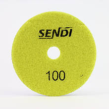 Черепашка TM Sendi No100 (Польща)