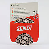 Черепашка TM Sendi No200 (Польща), фото 2