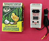 Терморегулятор ТЦИ-1000 Ліна + для інкубатора з вологоміром, фото 3