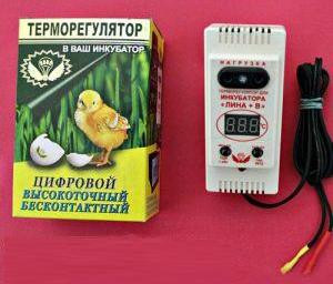 Терморегулятор ТЦИ-1000 Лина + В для инкубатора с влагомером - фото 3 - id-p259133319