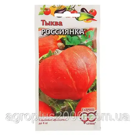 Насіння Гарбуз Росіянка 2 грами Гавріш, фото 3