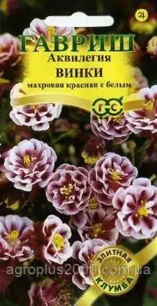Насіння Аквілегія (водосбір) Винки Червоне з білим 5 насіння Гавріш