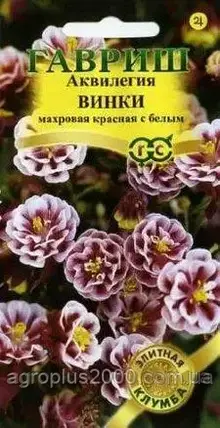 Насіння Аквілегія (водосбір) Винки Червоне з білим 5 насіння Гавріш, фото 1