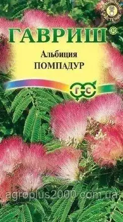 Насіння Альбіція Помпадур 3 шт. Гавріш