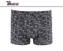 Труси на Хлопчика Боксери Стрейчеві Марка "INDENA" АРТ.21201, фото 5
