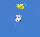 Ознайомлення святкування дня незалежності., фото 5