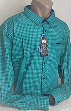 Сорочка чоловіча Mir Taron vd-0003 бірюзово-синя батальна в клітку стрейч коттон Туреччина з довгим рукавом, фото 2