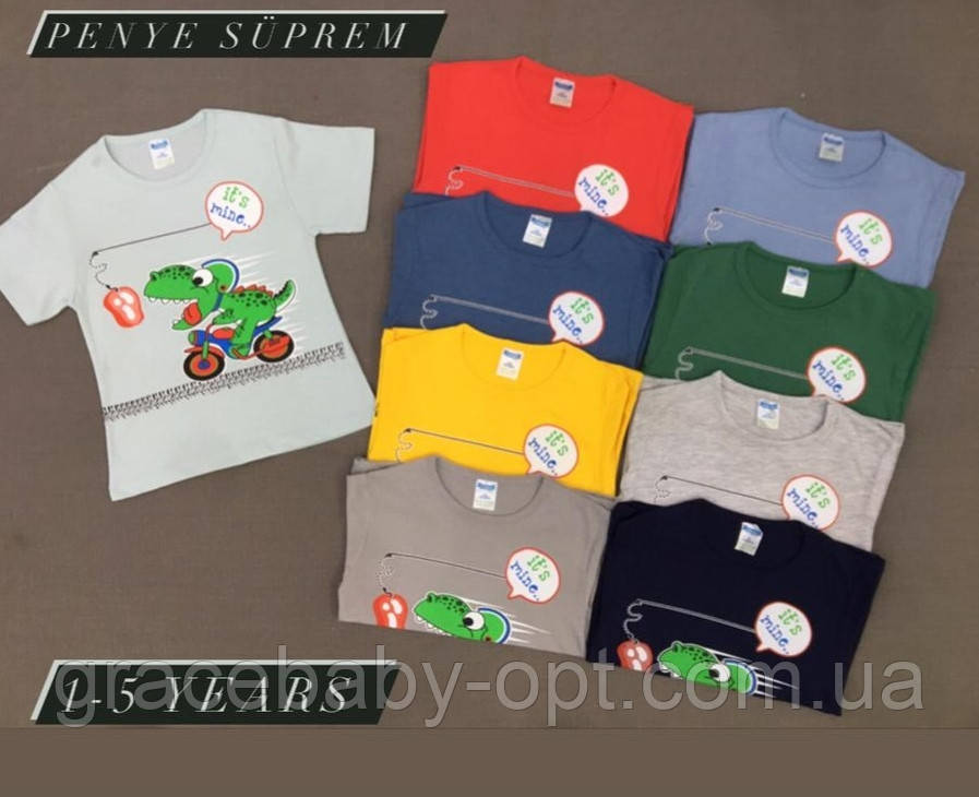Футболки для хлопчиків оптом, Penye Suprem, 1-5 років., № ZOL-DNZ-172