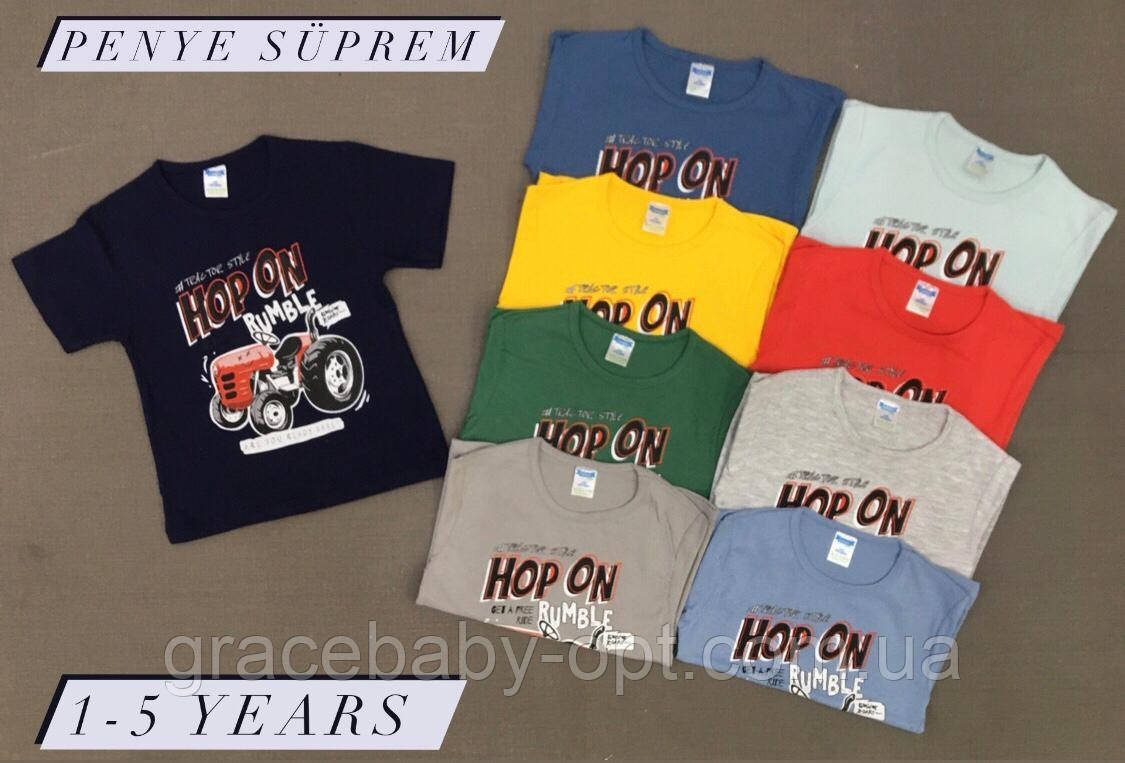 Футболки для хлопчиків оптом, Penye Suprem, 1-5 років., № ZOL-DNZ-173