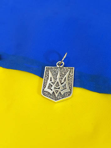 Срібний кулон Герб України DARIY 019-3кул, фото 2
