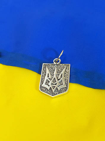 Срібний кулон Герб України DARIY 019-3кул, фото 1