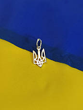 Срібний кулон Герб України DARIY 019кул, фото 3