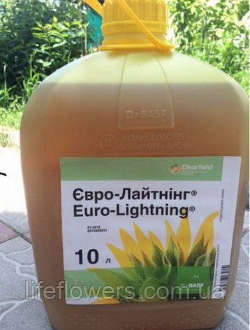 Гербіцид Євролайтинг 10л(2025рік), фото 1