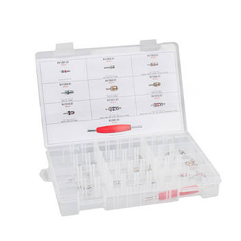 Набір ніпелів (золотники + викрутка) для автомобільного кондиціонера Errecom RK1331