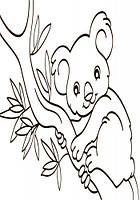 Go Детская водная раскраска : Экзотические животные 734012, 8 страниц