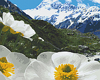 Go Красивая картина раскраска по номерам цифрам Art Craft "Альпийские маки" 40х50 см 10564-AC живопись