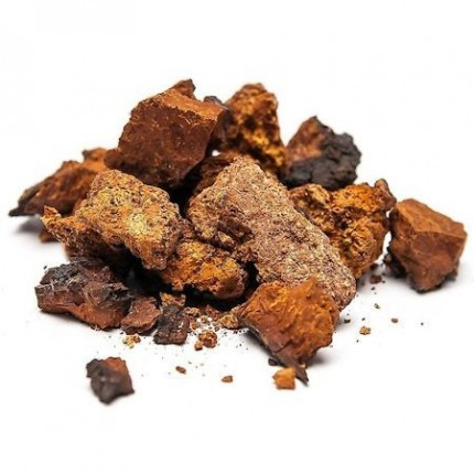 Чага березовий гриб 100 гр. Карпати, фото 1