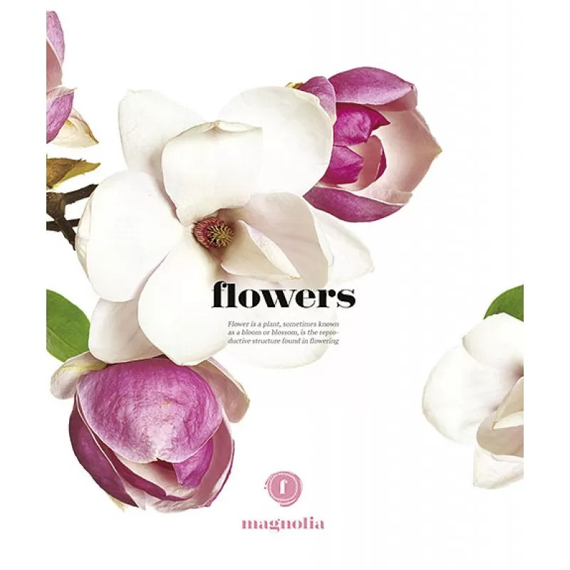 Зошит шкільний в лінію 96 аркушів Школярик, Flowers, УФ