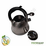 Чайник зі свистком з нержавіючої сталі Maestro 3 літри, фото 4