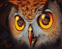 Al Красива картина розмальовка за номерами цифр Brushme "Погляд сови" GX30086, 50х40 см живопису на