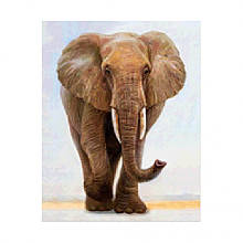 Al Алмазна мозаїка. Strateg FA40162 "Блискучий слон" 40х50 см