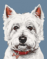Картина за номерами. "Вайт тер'єр" Art Craft 11652-AC 40*50 см