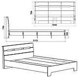Двоспальне ліжко Компаніт Стиль-160х200 см, фото 3