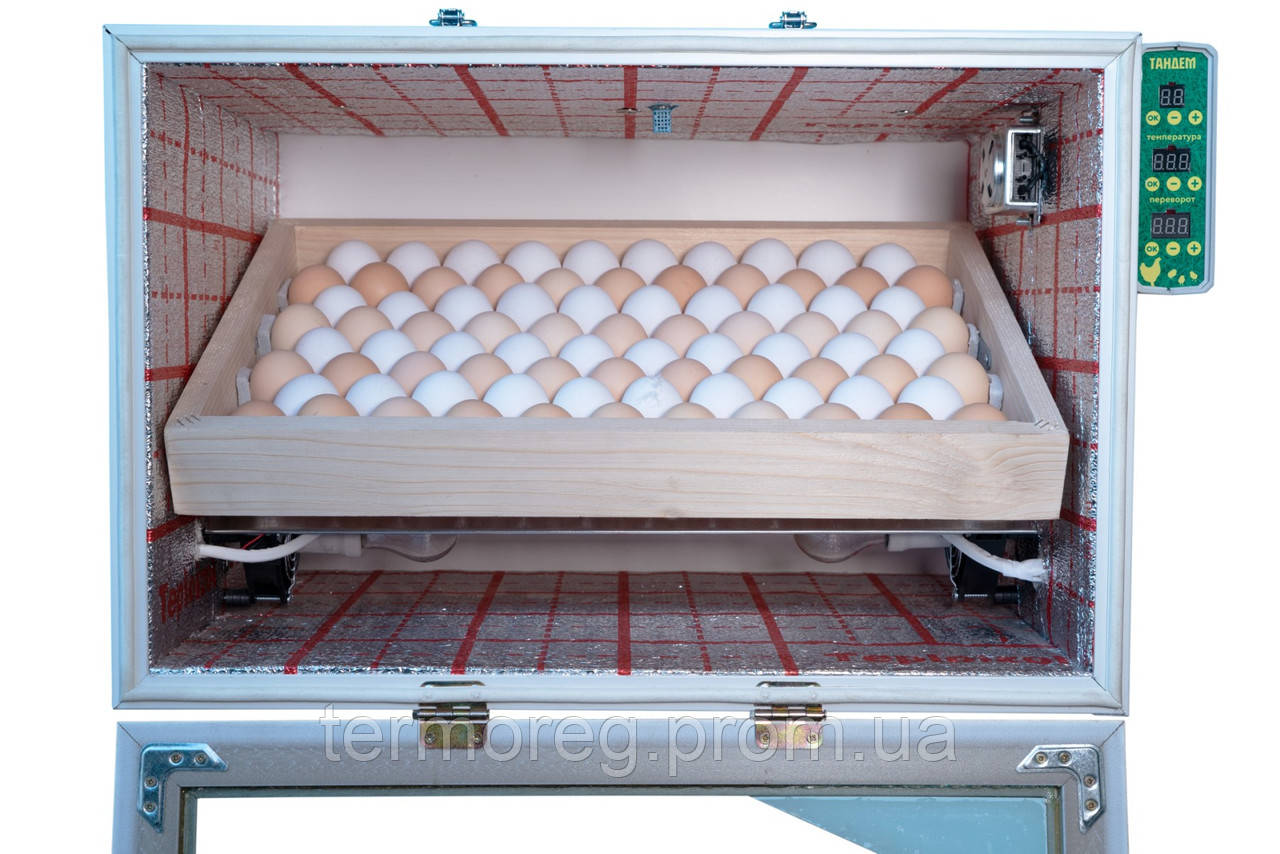 Инкубатор Тандем 80 автомат (на 80 куриных яиц) - фото 6 - id-p684693159