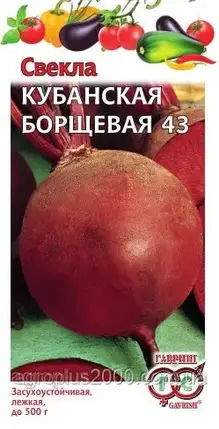 Насіння Бурякла столова Кубанська Борщова 43, 3 грами Гавріш, фото 1