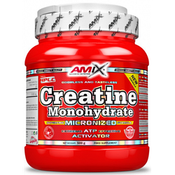 Креатин Amix Creatine monohydrate 250g