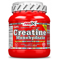 Креатин Amix Creatine monohydrate 750g