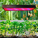 Світлодіодний світильник 10W Grow light, фото 3