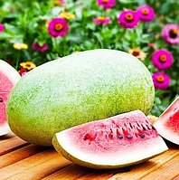 Кавун Чарльстон Грей