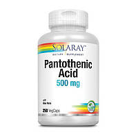 Пантотеновая кислота (витамин В5) Solaray Pantothenic Acid 500 mg 250 капсул