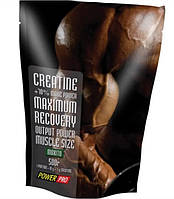 Power Pro Creatine Maximum Recovery with flavour 500 g