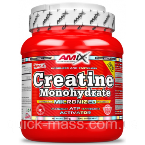 Креатин Amix Creatine Monohydrate micronized 300g, фото 1
