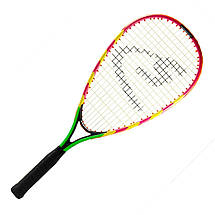 Набір для швидкісного бадмінтону спідмінтону Speedminton® Set S600, фото 6