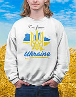 Реглан с принтом I'm from Ukraine M