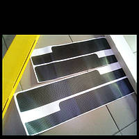 Плівка захисна на пороги Citroen C4 II з 2011-