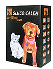 Глюкометр Wellion Gluco Calea для собак, кішок та коней, фото 6