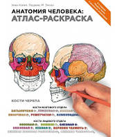 Анатомия человека: атлас-раскраска. Элсон Л.