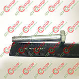 Зрізний Болт M10*65 прес-підбирача Famarol Z-511 PN-M-82105 M10x65 8.8, фото 4