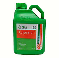 Протруйник Авіценна 5 л Alfa Smart Agro Альфа Смарт Агро Україна