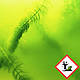 JBL AlgoPond Green, 250 мл на 5000 л, кондиционер против водорослей в пруду, фото 4
