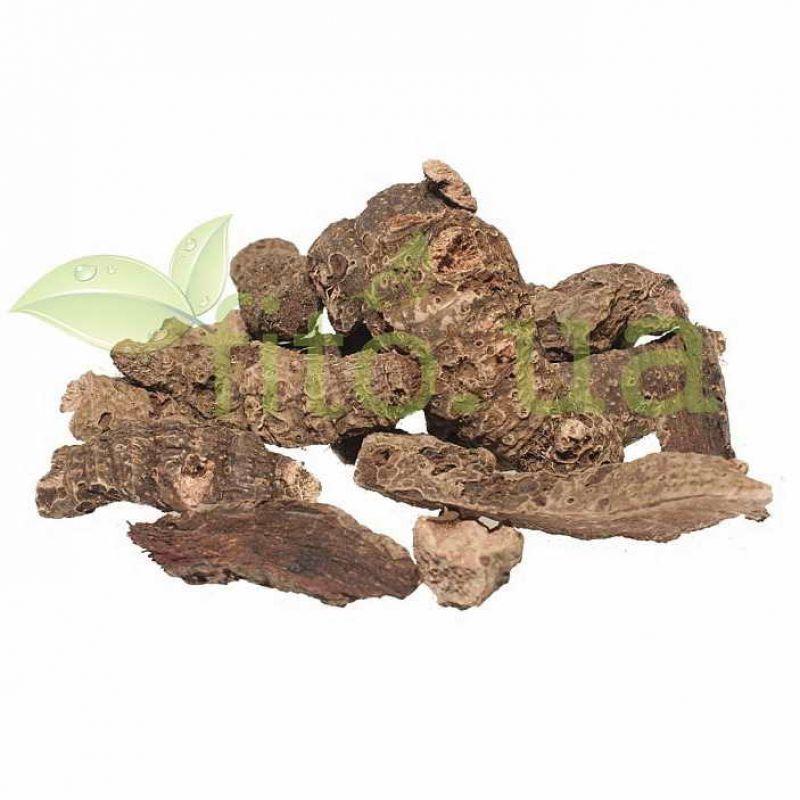 Ірис болотний корінь, касатик, 100 гр